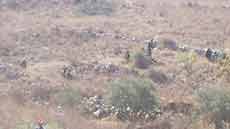 “Israeli” Soldiers Attempt to Prevent Farmers from Harvesting Olives: South Lebanon 