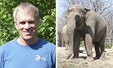 Elephant Kills US Zookeeper