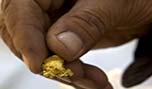 Australian Scientists: Gold in Trees!