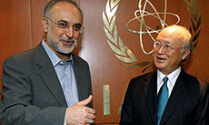 Iran, IAEA Agree on Coop Roadmap: Iranian Nuclear Chief 