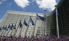 EU Envoys back on Road to Damascus