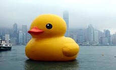 Giant Yellow Duck Explodes...Again