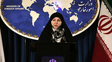 US Idea on Iran’s ‘Sideline’ Involvement 
In Geneva II Rejected
