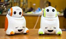 Robots Invade Consumer Market for Play, Work