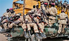 S Sudan Army Reports Calm as Ceasefire Starts