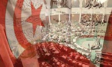 Tunisia Celebrates New Constitution