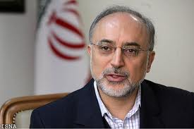 Salehi: Arak Heavy Water Reactor Will Remain Intact	