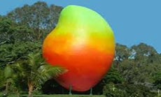 Thieves Make off With Giant Australian Mango