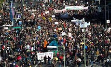 Occupy Wall Street Back 