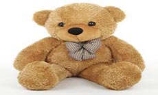 Police Use Hidden GPS Unit to Track Stolen Teddy Bear
