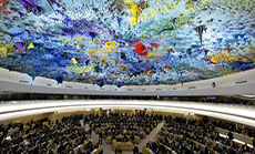 UN Censures Bahraini Regime for Human Rights Violations