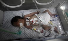 Gaza Baby Born after Mother’s Martyrdom Dead