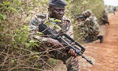 Cameroon Army Kills 40 Boko Haram Militants