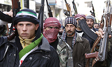 US House Approves Plan to Arm, Train ’Moderate’ Rebels in Syria