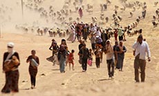 Iraq: Number of Internally Displaced People Reaches Beyond 1,753,302 