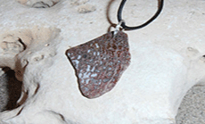 Restitution Ordered in Dinosaur Footprint Theft