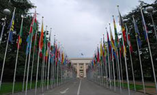 Switzerland to Host Conference on Occupied Palestinian Territories