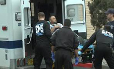 American Toddler Accidentally Shoots father, Pregnant Mother