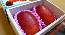 Pair of Mangoes Sold for $2,500
