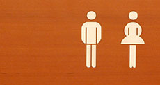 Stuck in Japanese Lift During Quake? Water and Toilets to be inside!