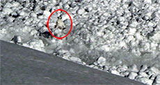Run, Rabbit, Run! Russian Hare vs. Moving Avalanche
