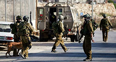 Daring Palestinian Operation in W Bank