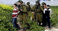 23 Palestinians Killed, 2,156 Abducted by ’Israel’ in 2015

