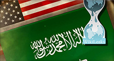 Who Sent Saudi Documents to WikiLeaks?


