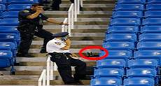 Drone Crashes into Stands during US Open Match

