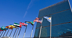 Palestinian Flag Likely to be Raised on UN

