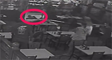 Dinner Surprise: Burglary Suspect Drops in Through Ceiling


