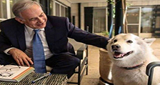 ’Israeli’ PM’s Dog Bites Political Visitors