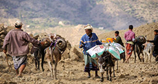 Yemen Is the Crisis That the World Forgot...
