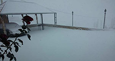 Lebanon: Storm ’Vladimir’ Batters New Year