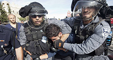 ’Israeli’ Forces Detain 17 Palestinians in WB Raids
