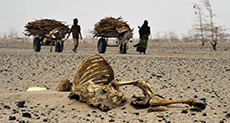 Food Shortages Hit Millions in Ethiopia