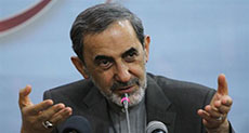 Velayati Stresses on Dialogue to Solve Syria Crisis