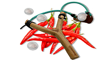 Chili-Loaded Slingshots to be Used by India Police
