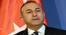 Ankara: Turkey, Saudi Could Launch Ground Operation in Syria
