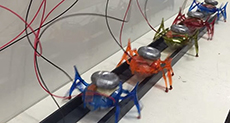 Six Teeny Tiny Insect-Like Robots Tow Car and Driver
