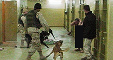 CIA Photographs Captives Naked!
