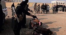 Daesh Kills 50 Iraqi Citizens in Fallujah, Mosul

