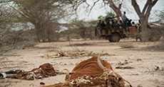 UN: Drought-Hit Somalia at ’Tipping Point’
