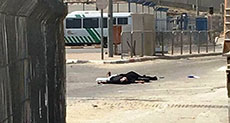 Palestinian Woman, Youth Martyred After Alleged Stab Attempt at Qalandiya
