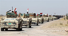 Iraq Liberate Key City near Fallujah
