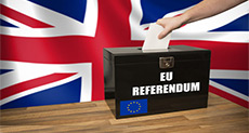 UK Votes on the EU in Historic Referendum
