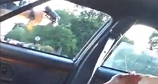 US Police Violence: Minnesota Black Man Shot in Car
