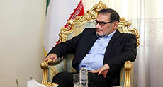 Shamkhani: Some Countries Oppose Legitimate Syrian Gov’t, Neither Have Parliaments, Nor Hold Elections
