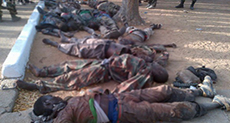 Gov’t Report: Army Martyred 348 Nigerians during Zaria Carnage