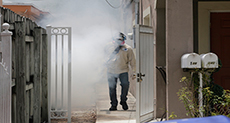 Zika Prompts Travel Warning for Area of Miami